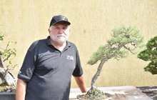 Václav Novák (67): Mám bonsaj drahou jako auto! 