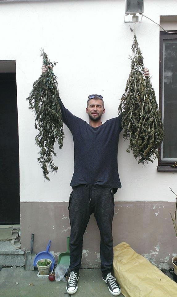 Marihuana se Slezáčkem při sklízení evidentně dost zamávala.