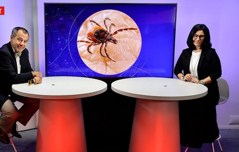 Neurolog Stránský o borelióze: Co stojí za prudkým nárůstem případů? A léčí se správně?
