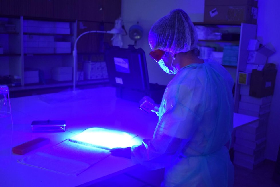 Zjišťování forenzních stop pod silným UV světlem