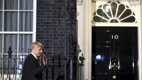 Do kabinetu Borise Johnsona zamířil i jeho mladší bratr Jo. Rodinná podoba se nezapře.