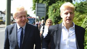 Do kabinetu Borise Johnsona zamířil i jeho mladší bratr Jo. Rodinná podoba se nezapře