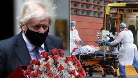 Britský premiér Boris Johnson uvedl, že britská mutace koronaviru je smrtelnější, naznačují to podle něj vědecké poznatky.