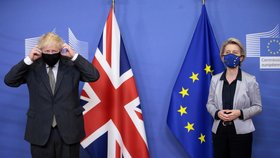 Jednání britského premiéra Borise Johnsona s šéfkou Evropské komise Ursulou von der Leyenovou