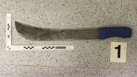 Policie zatkla v Boskovicích muže, který ohrožoval jiného mačetou.