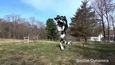 Robot od Boston Dynamics