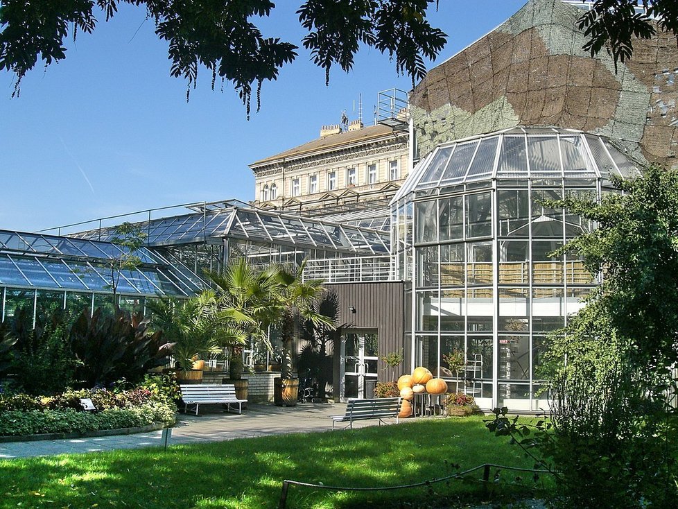 Botanická zahrada na Albertově stojí trochu mimo pozornost, o to klidnější a zajímavější její návštěva může být