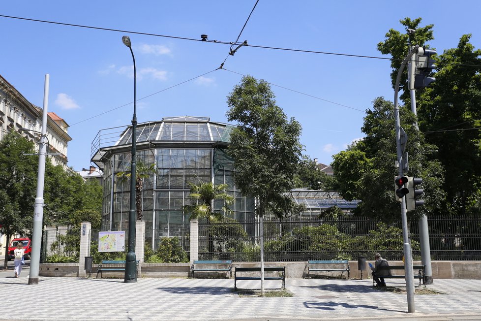 Botanická zahrada na Albertově stojí trochu mimo pozornost, o to klidnější a zajímavější její návštěva může být