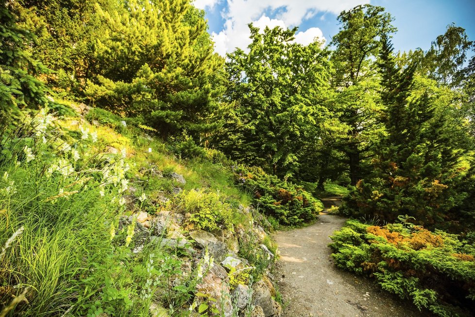 Botanická zahrada na Albertově stojí trochu mimo pozornost, o to klidnější a zajímavější její návštěva může být