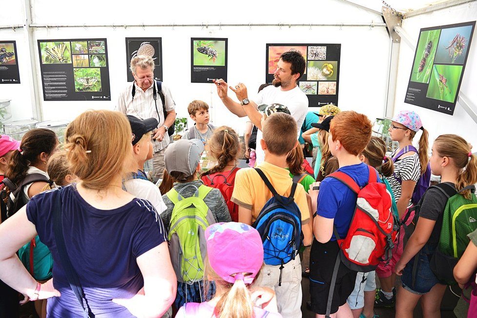 Botanická zahrada v Praze 2 představuje bezobratlé