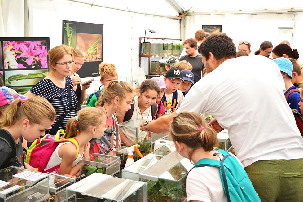 Botanická zahrada v Praze 2 představuje bezobratlé