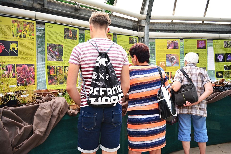 V Botanické zahradě si nyní můžete prohlédnout největší výstavu masožravých rostlin v Česku.