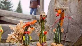 Dýňová sezóna v botanické zahradě: Výstava, podzimní dílničky i oslavy Halloweenu