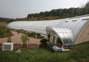 Ve skleníku Fata Morgana můžete obdivovat tropické i subtropické rostliny. Často se konají i speciální výstavy, například motýlů.