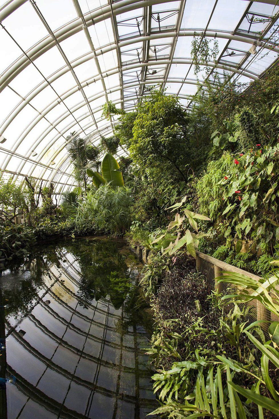 Vonná stezka začala svou existenci ve skleníku botanické zahrady Fata Morgana.