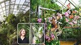 Dětský prstík v masožravce a 20 tisíc druhů rostlin: Pro Evu (34) je práce v botanické zahradě každodenním dobrodružstvím
