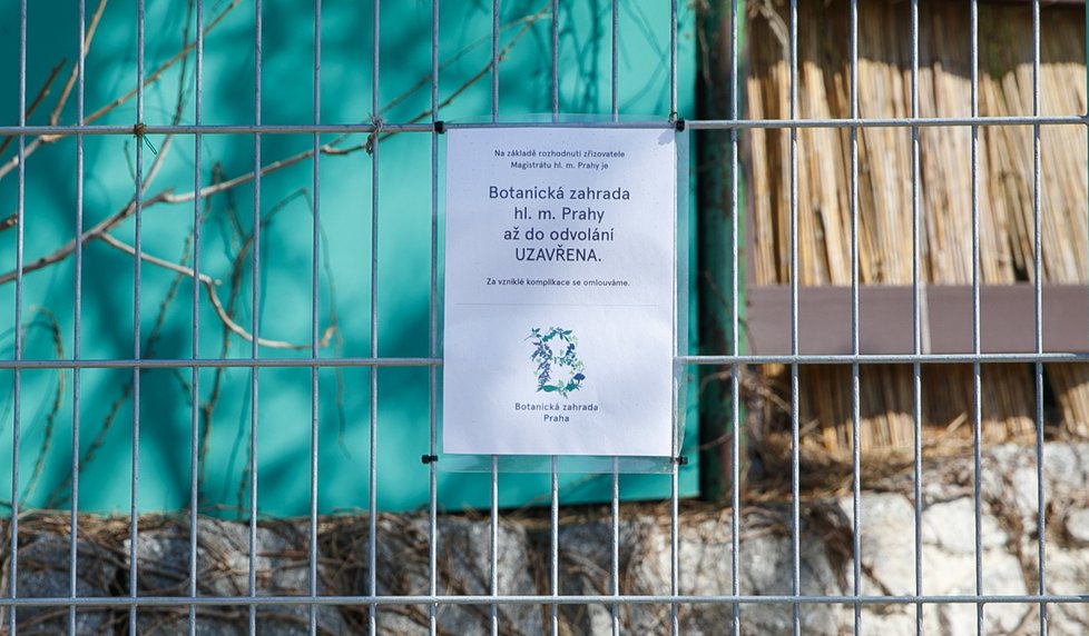 Botanická zahrada hl. m. Prahy má od 13. března zavřené brány. Kdy se znovu otevře, není dosud zřejmé.