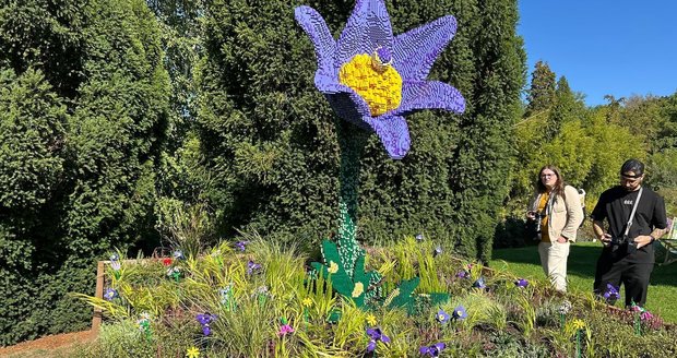 V Botanické zahradě v Troji vzniká česká louka z kostek LEGO. Návštěvníci ji mohou až do neděle doplňovat vlastními květinami.