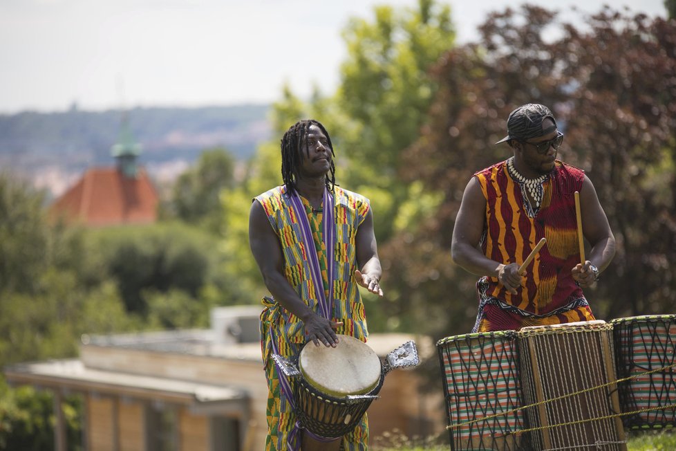 V botanické zahradě proběhne African Food Festival.