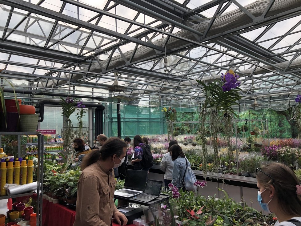 Prodej orchidejí v zázemí botanické zahrady