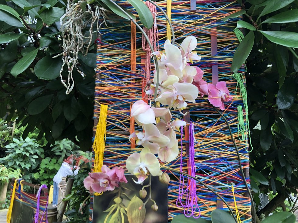 Výstavu orchidejí doplňují dekorace – konstrukce opletené vlnou a korálky, které jsou typické pro Ekvádor a dotvářejí tak atmosféru Jižní Ameriky