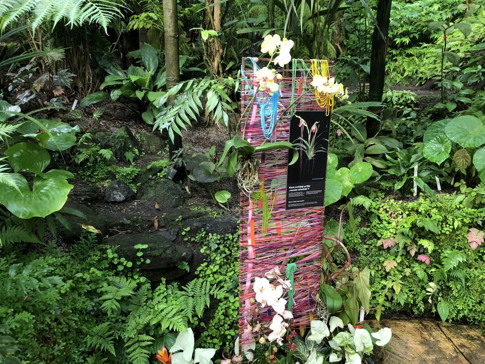 Výstavu orchidejí doplňují dekorace – konstrukce opletené vlnou a korálky, které jsou typické pro Ekvádor a dotvářejí tak atmosféru Jižní Ameriky
