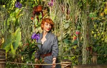 Výstava orchidejí v pražské botanické zahradě: Ucítíte nádheru z celého světa