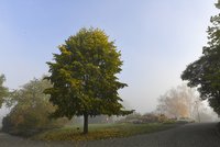 Počasí v Praze: V pondělí teploměr ukáže až 19 °C, od úterý rtuť zase spadne dolů