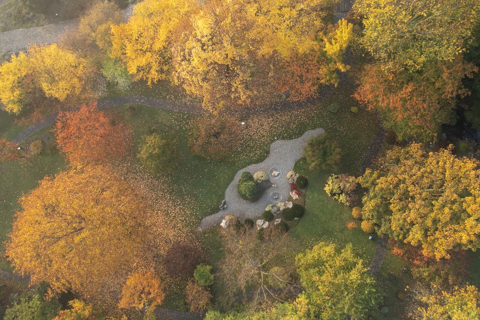 Podzim v Botanické zahradě hl. m. Prahy hraje všemi barvami. (17. říjen 2022)