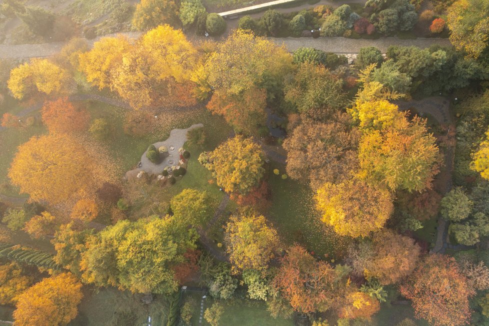 Podzim v Botanické zahradě hl. m. Prahy hraje všemi barvami. (17. říjen 2022)