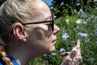 Vzkříšení zelených pokladů! Téměř vyhynulé rostliny našly útočiště v oáze botanické zahrady