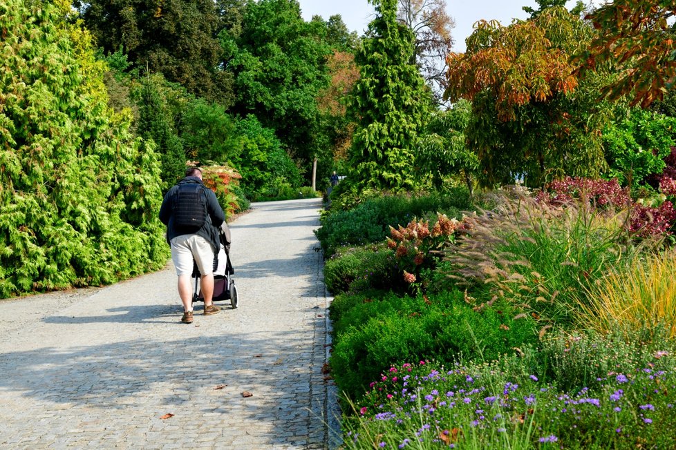 Botanická zahrada hl. města Prahy. (11. září 2021)