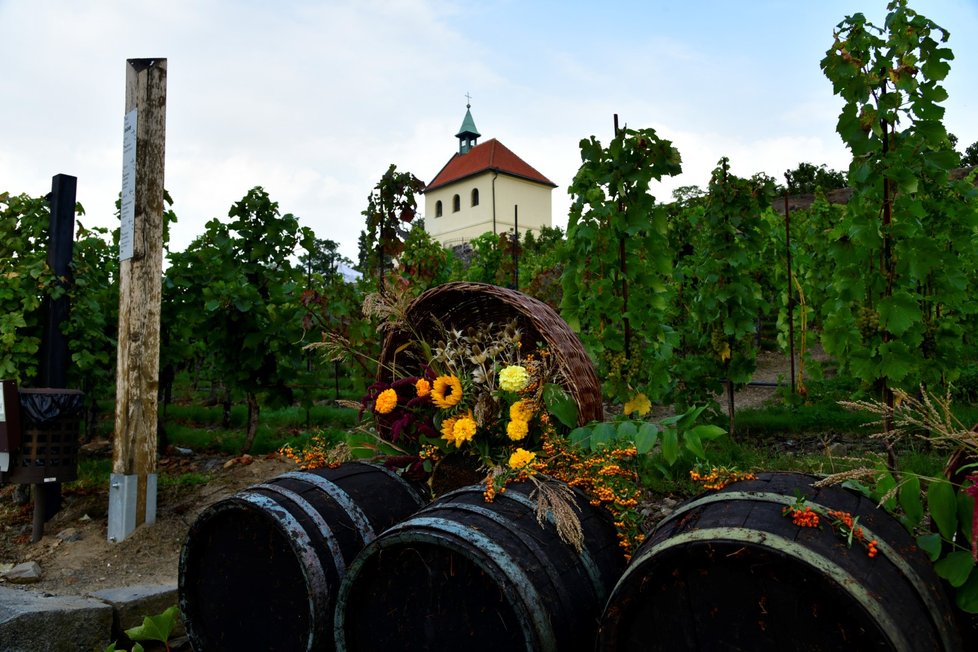 Botanická zahrada hl. m. Prahy na podzimní období připravila výstavu Krása živých květů a sušených plodů. Vznikla tu například aranžmá inspirovaná venkovem a obdobím sklizně.