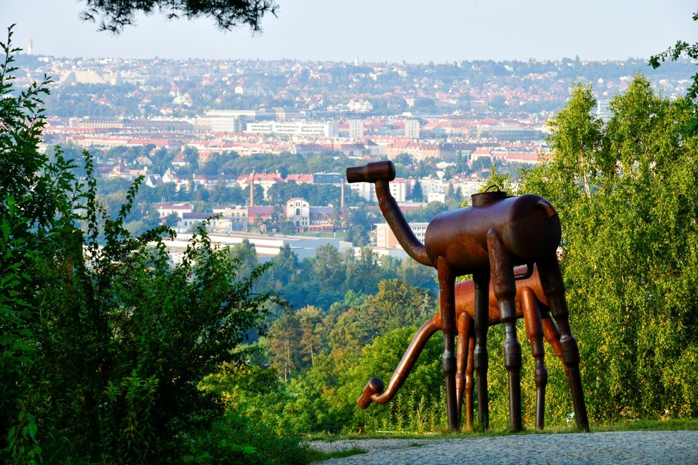 Botanická zahrada hl. města Prahy. (11. září 2021)