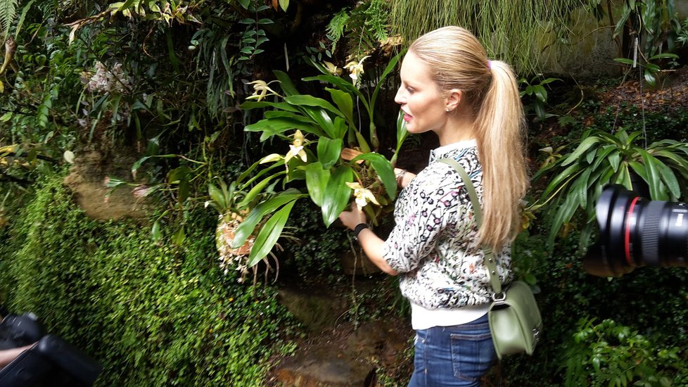 Simona Krainová zahájila výstavu zavěšením orchideje.