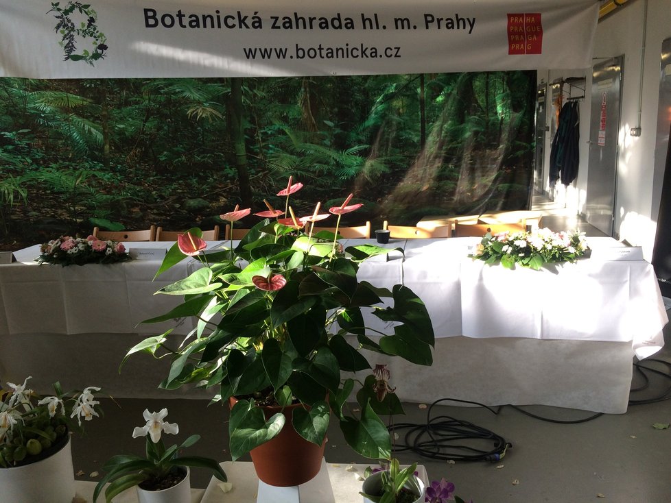 Botanická zahrada hl. m. představila svůj program na rok 2020.