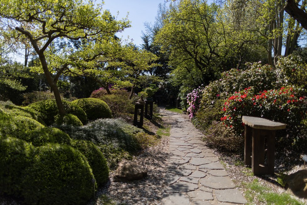 Květen 2020: Japonská zahrada v trojské botanické zahradě.