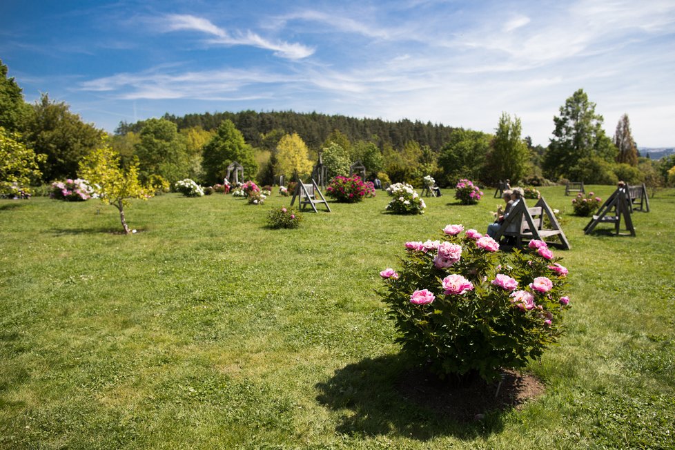 Květen 2020: Takhle vypadá jaro v trojské botanické zahradě.