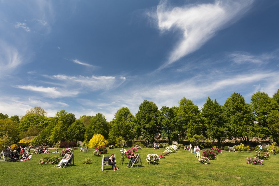 Květen 2020: Takhle vypadá jaro v trojské botanické zahradě.