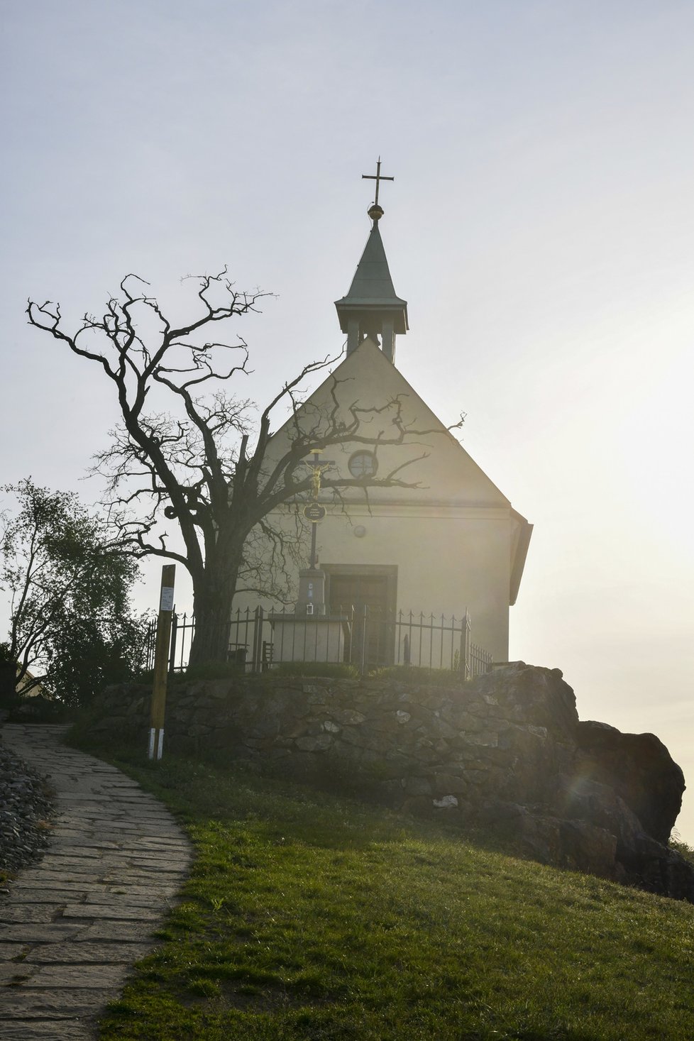 Jednou z dominant botanické zahrady, a vůbec celé Troji, je kaple sv. Kláry, po níž nese pojmenování také zdejší vinice.