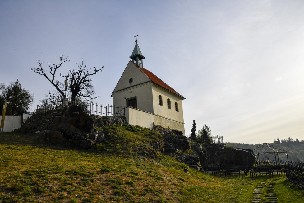 Jednou z dominant botanické zahrady, a vůbec celé Troji, je kaple sv. Kláry, po níž nese pojmenování také zdejší vinice.