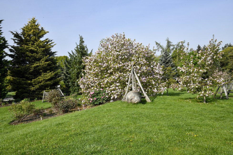 Botanická zahrada hl. m. Prahy na jaře hraje všemi barvami.