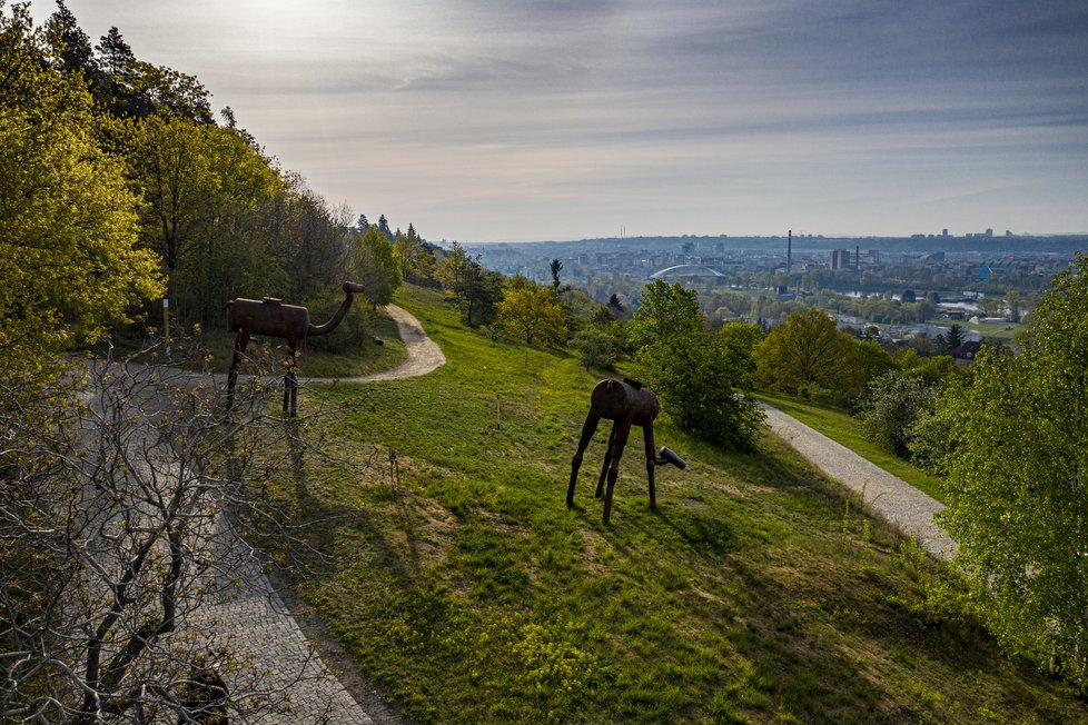 Záhony, keříky a stromy - vše je teď v botanické zahradě doslova v rozkvětu.