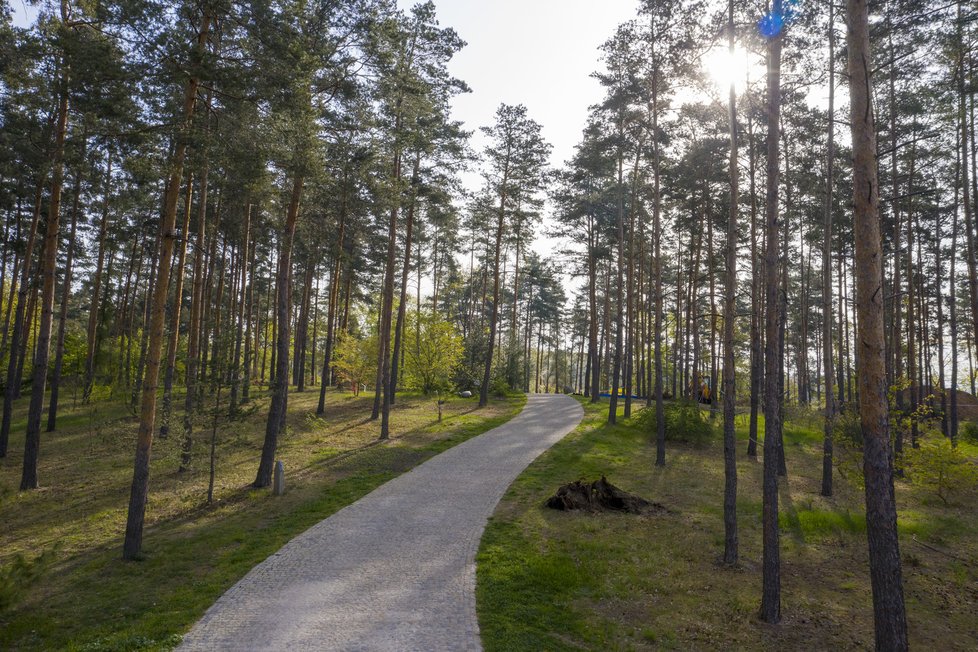 Záhony, keříky a stromy - vše je teď v botanické zahradě doslova v rozkvětu.