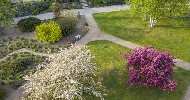 Do venkovních expozic trojské botanické zahrady zavítali návštěvníci po znovuotevření až koncem dubna. Zahradu přitom vzali doslova útokem - podle jejího ředitele jich jen za týden bylo přes 8 tisíc.