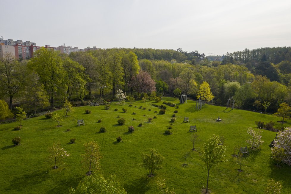 Kvůli pandemii koronaviru musela být botanická zahrada přes měsíc uzavřená. Koncem dubna se ale její venkovní expozice konečně mohly otevřít veřejnosti. Takto to v nich vypadá.