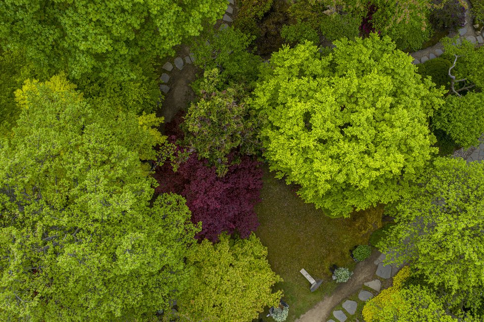 Botanická zahrada Troja: Tyhle krásy bude mít nový majitel takřka za humny.