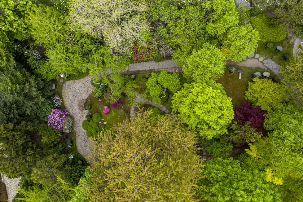 Botanická zahrada Troja: Tyhle krásy bude mít nový majitel takřka za humny.