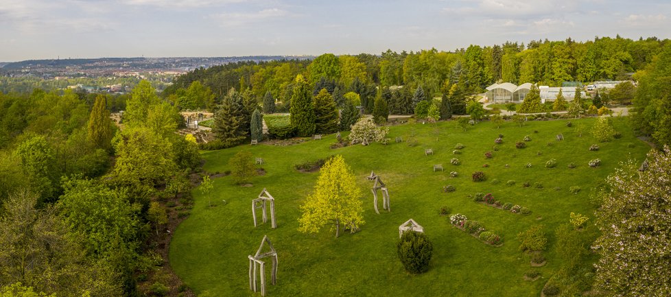 Takovéto pohledy na trojskou botanickou zahradu si vychutnávají leda ptáci.