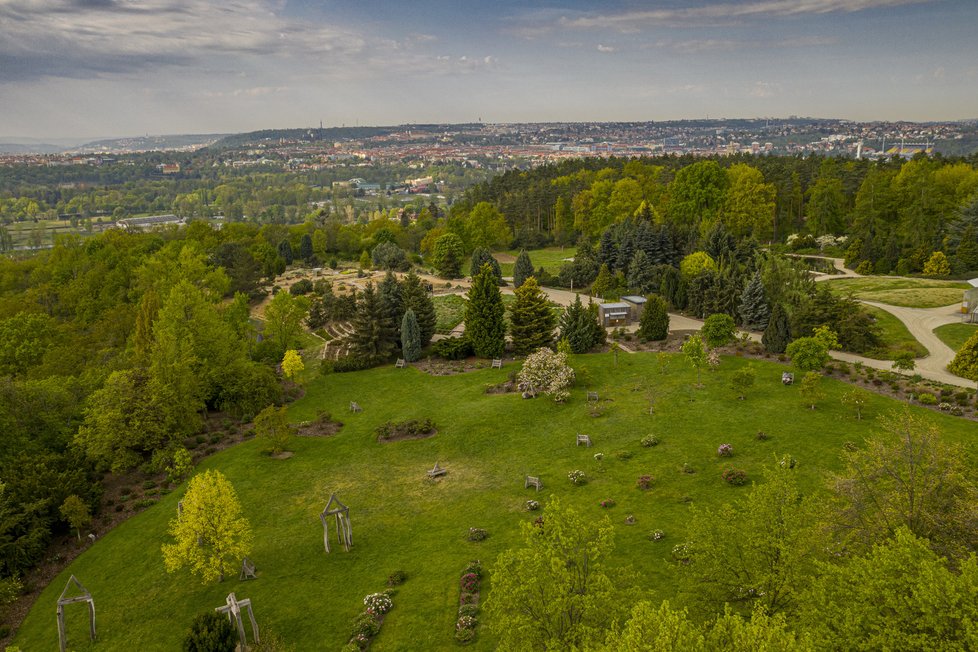 Takovéto pohledy na trojskou botanickou zahradu si vychutnávají leda ptáci.